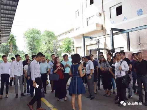 鉅派投資集團 深耕財富管理，賦能資產配置的專業力量